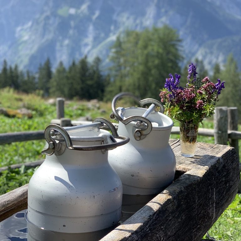 Zwei Milchkannen stehen auf im Wassertrog auf der Alm, umgeben von Bergen und Blumen des Nationalparks Berchtesgaden
