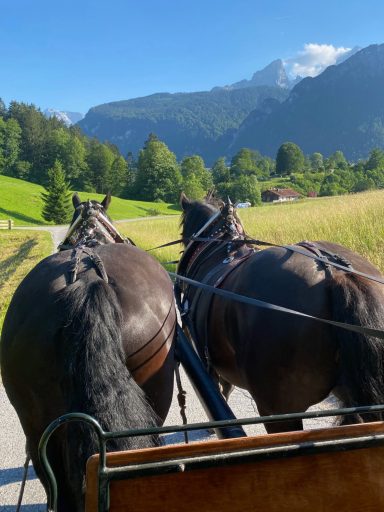 Zwei Pferde ziehen eine Kutsche auf einer malerischen Landstraße durch die Berge.